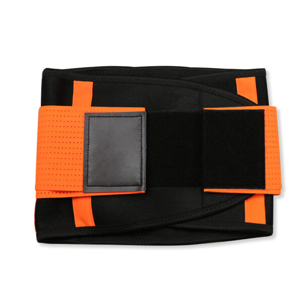 ACTIVE ME ORANGE GYM BELT - Image 5